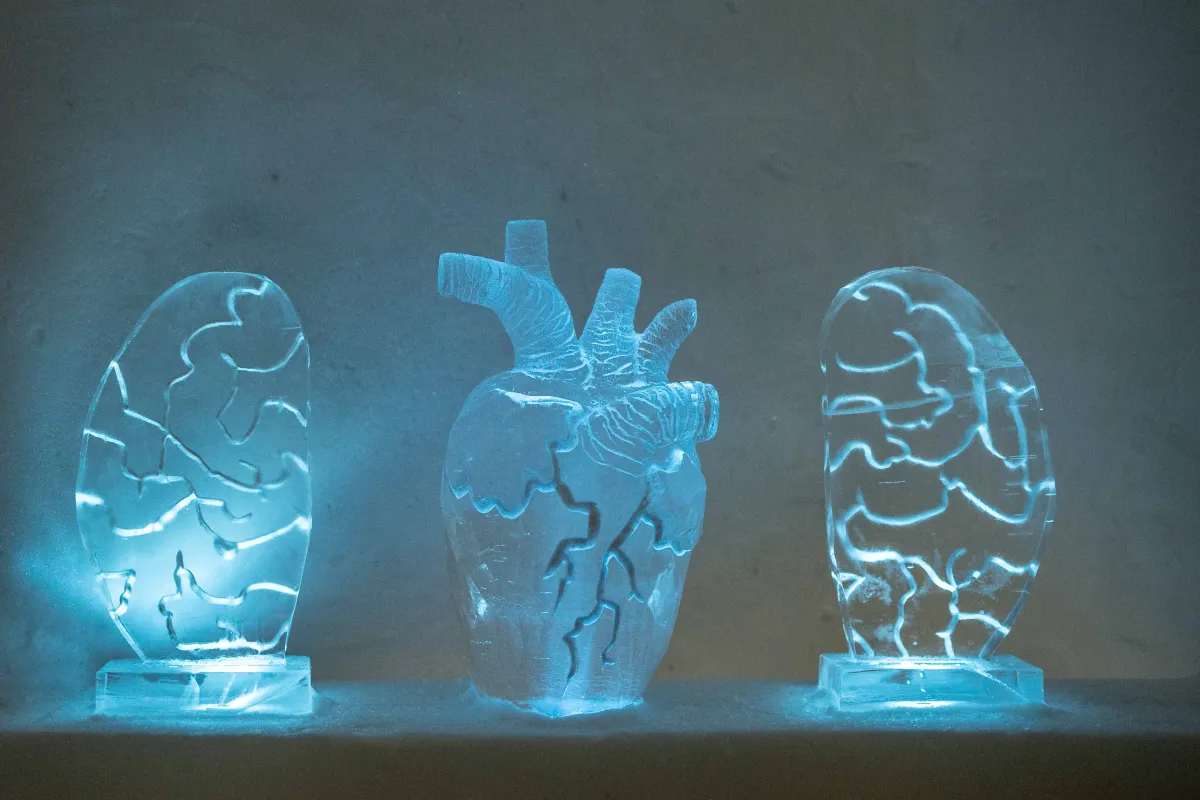 Ogni inverno nasce da zero un hotel di ghiaccio: soggiornare qui è come entrare in un sogno nordico